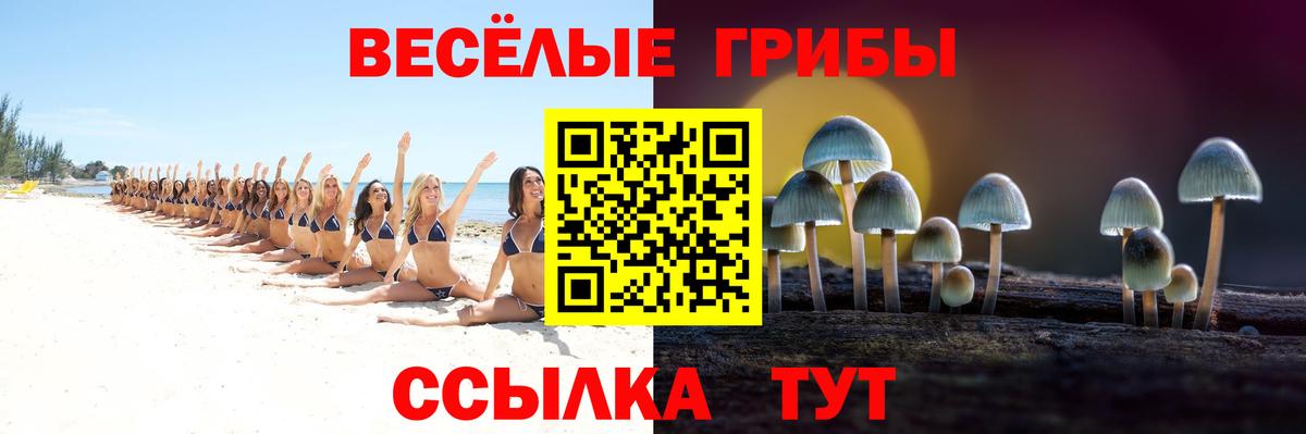 Галлюциногенные грибы Cubensis Звенигород